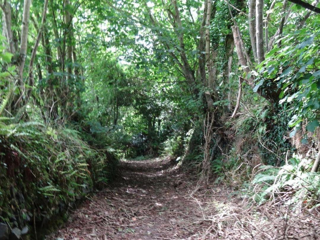 Badger Cottage Mawgan Kültér fotó